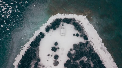 白天水体附近的绿树